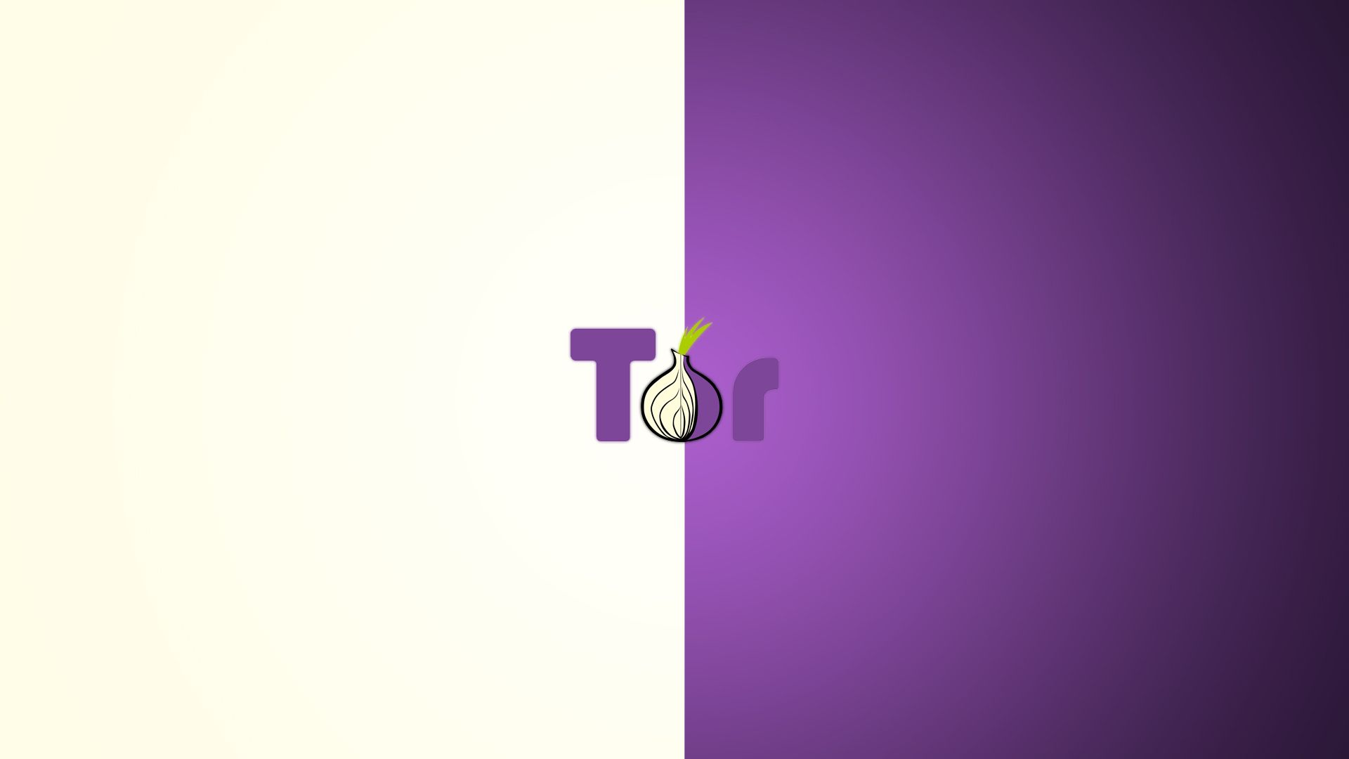 tor browser